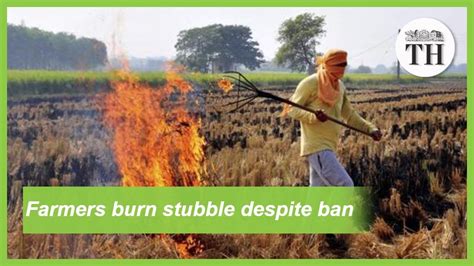 stubble burning meaning in marathi